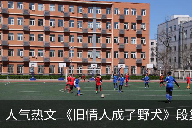 人气热文 《旧情人成了野犬》段复津谈轻棠 谈雾亦段珩常