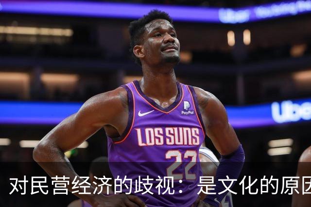 对民营经济的歧视：是文化的原因，还是意识形态的推动