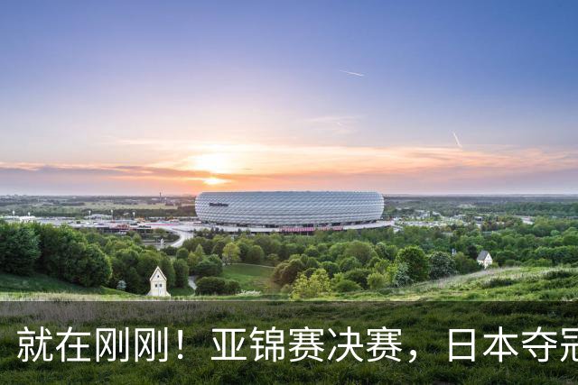 就在刚刚！亚锦赛决赛，日本夺冠：松岛辉空张本美和3 2黄友政陈熠