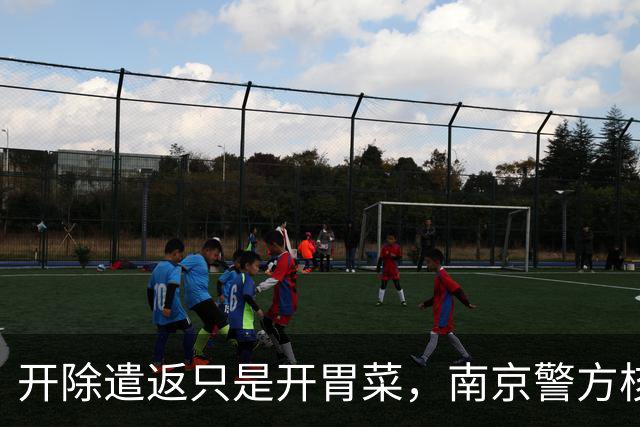 开除遣返只是开胃菜，南京警方核查，军媒下场，麻烦不止陈某一人