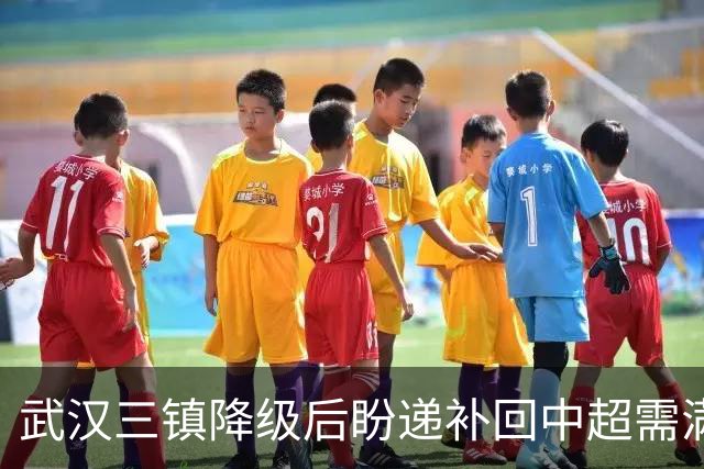武汉三镇降级后盼递补回中超需满足三条件