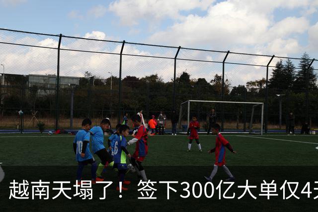 越南天塌了！签下300亿大单仅4天，中国新出一项公告，项目或流产